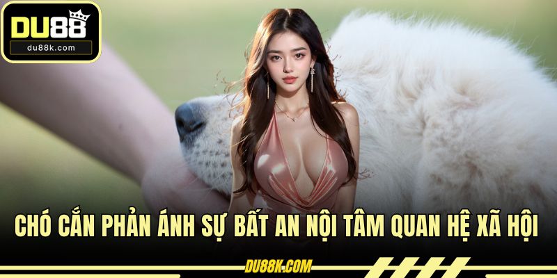 Chó cắn phản ánh sự bất an nội tâm quan hệ xã hội