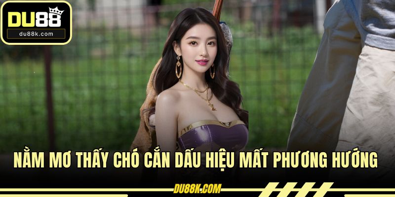 Nằm mơ thấy chó cắn dấu hiệu mất phương hướng