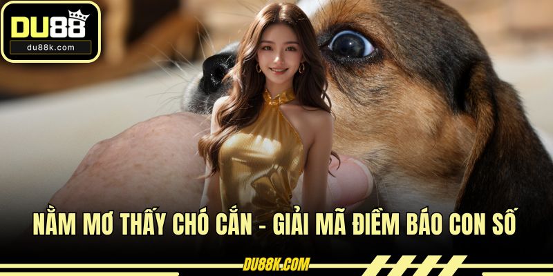 Nằm Mơ Thấy Chó Cắn – Giải Mã Điềm Báo Con Số Tài Lộc